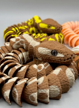 DIY定制-Ball Python 球蟒 全关节可动仿生逼真科普教育模型标本