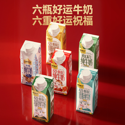 新年吨吨桶代言人限定