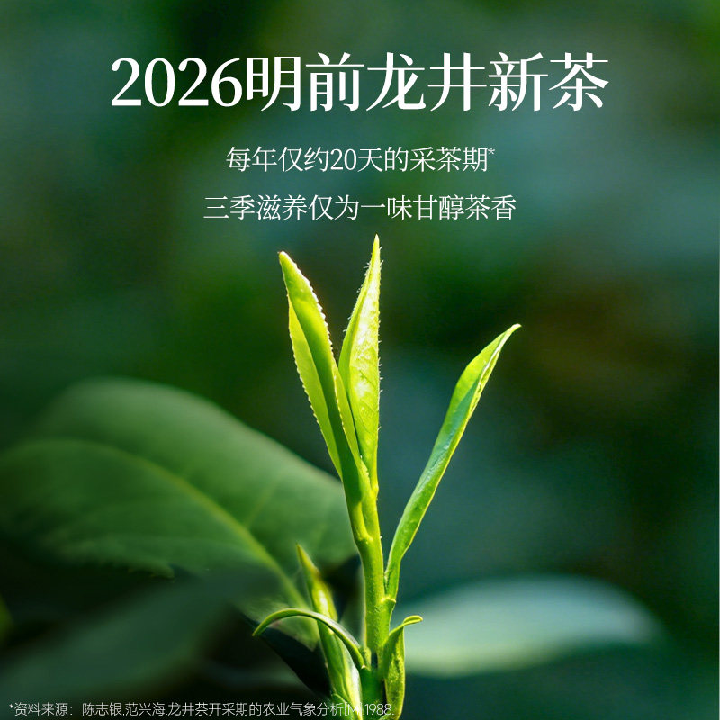 【春季限定】认养一头牛明前龙井茶乳190ml*10瓶低脂轻乳茶奶茶