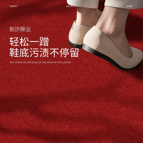 2026新款卡通入户门地垫玄关防滑脚垫大门口高级进门耐脏地毯垫子 - 图2