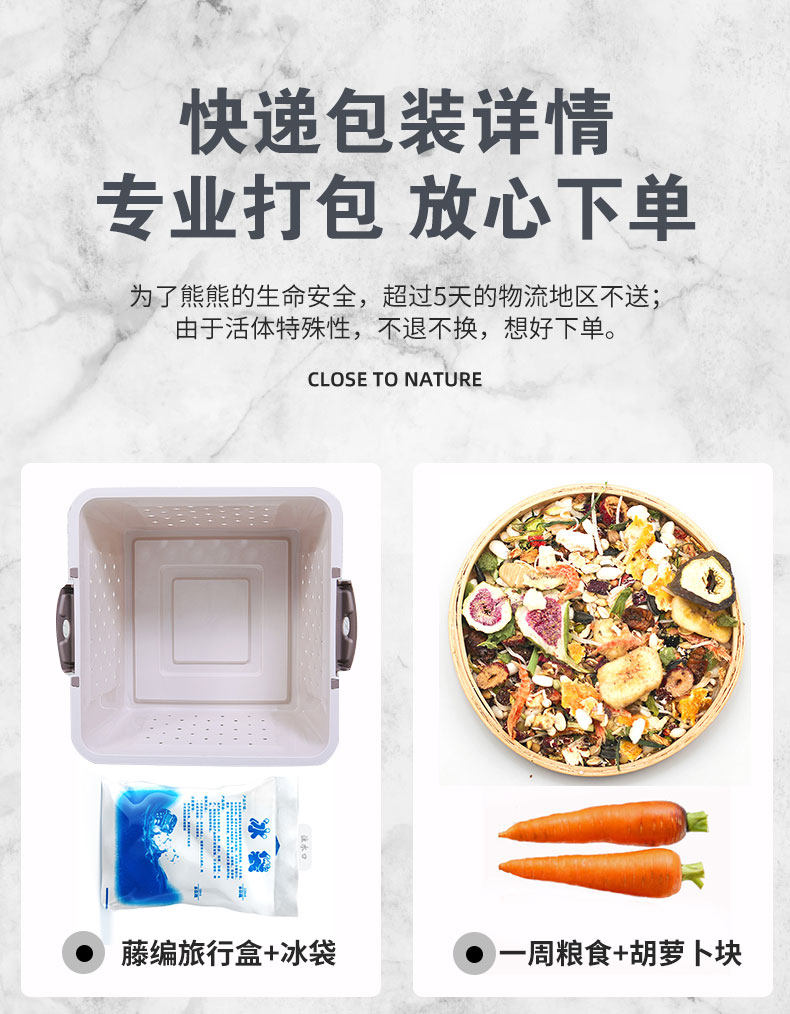 卷毛金丝熊家养温顺长毛鸽灰金丝鼠活物包活好养不臭小宠物仓鼠,淘宝优惠券,粉丝福利购,淘宝优惠卷