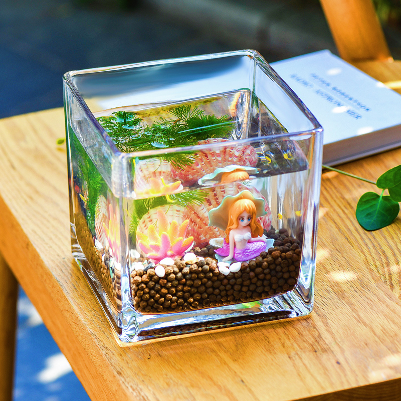 活水鱼缸斗鱼斑马鱼水草微景观小型客厅水族箱桌面玻璃生态瓶