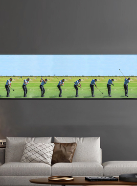 麦克罗伊挥杆动作高尔夫装饰画老虎伍兹球场俱乐部挂画休闲室壁画