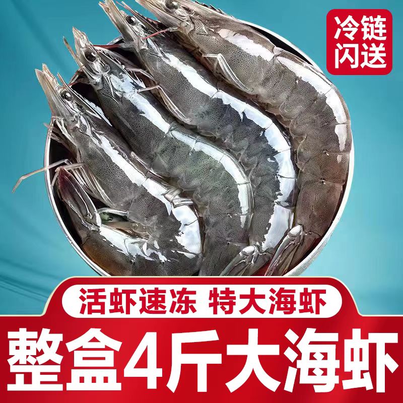 整箱4斤青岛大虾超大海虾鲜活基围虾冷冻白虾对虾新鲜海捕海鲜虾8 - 图0