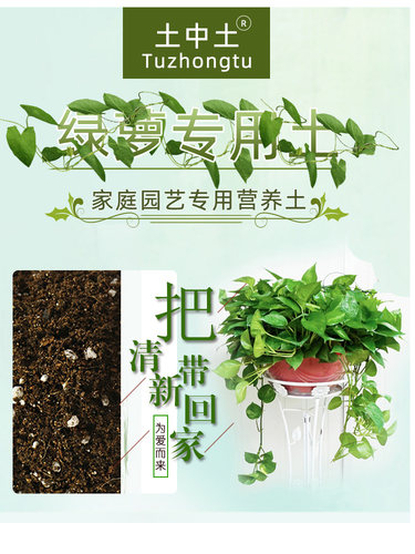 土中土绿萝土壤专用土营养土家用通用型发财树土壤透气泥炭土包邮 - 图0