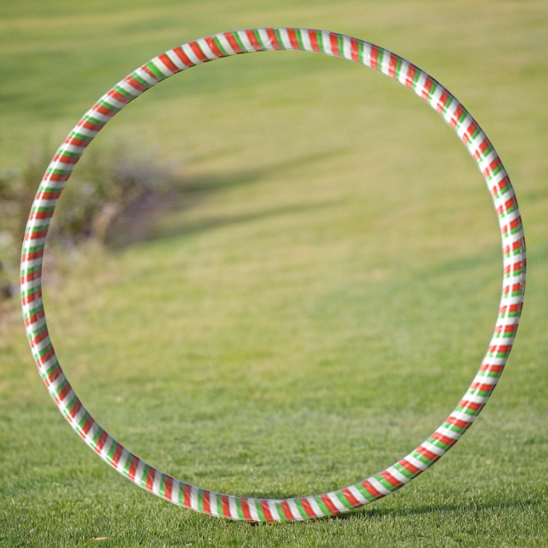 包邮送跳绳 儿童呼啦圈 幼儿园玩具 小学生专用达标  开发票 - 图2