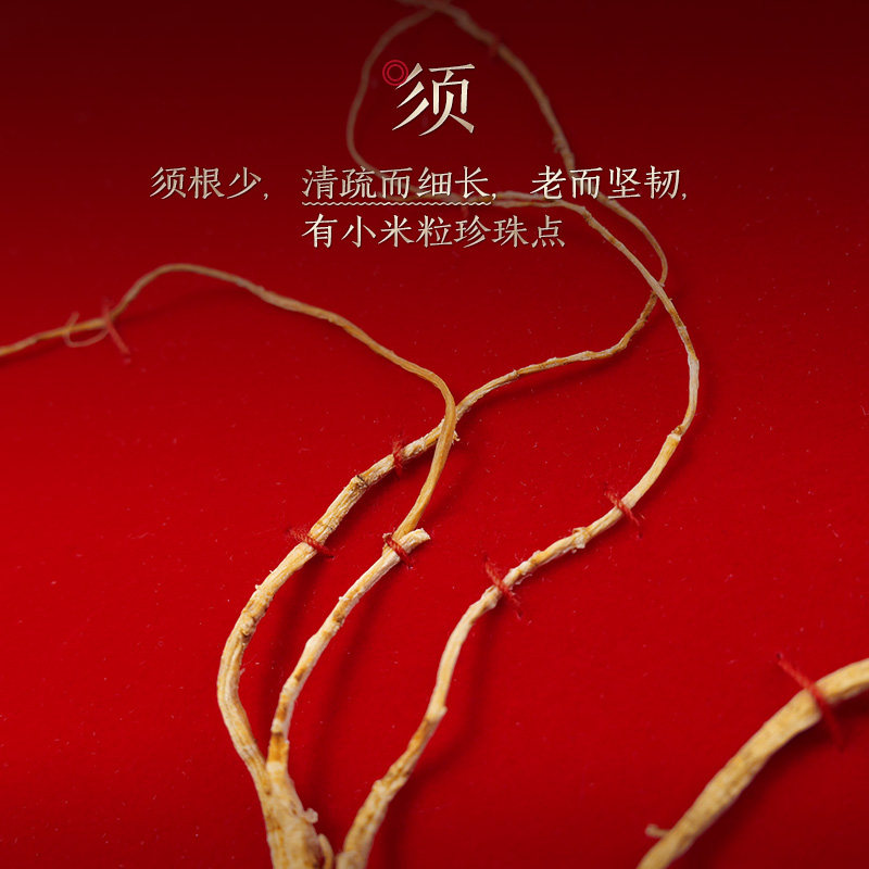  长白山人参山参