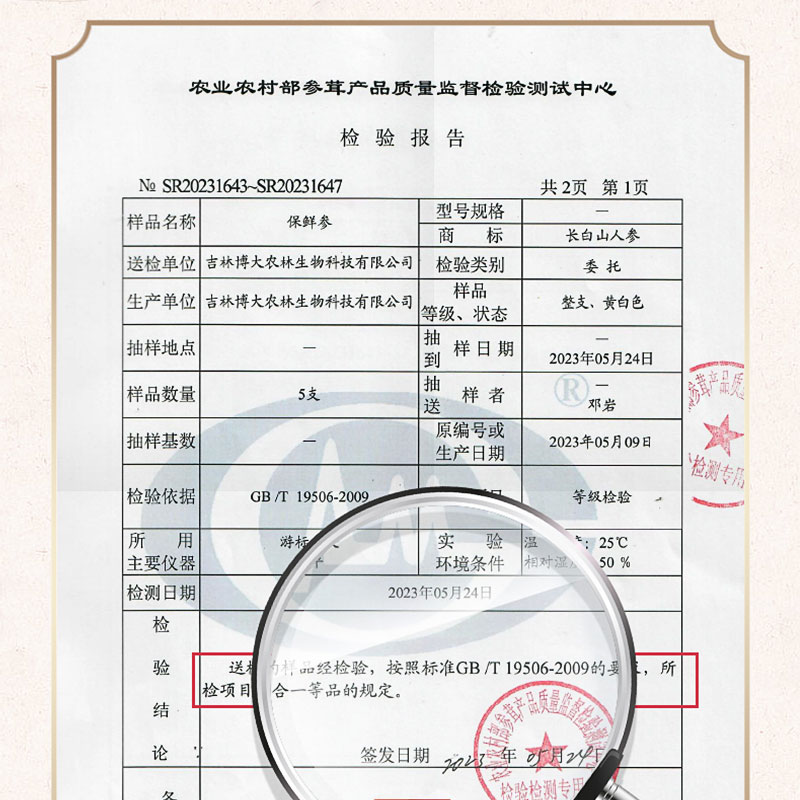 【拍1发2长白山人参保鲜参礼盒鲜人参泡酒专用东北特产送长辈礼品 - 图3