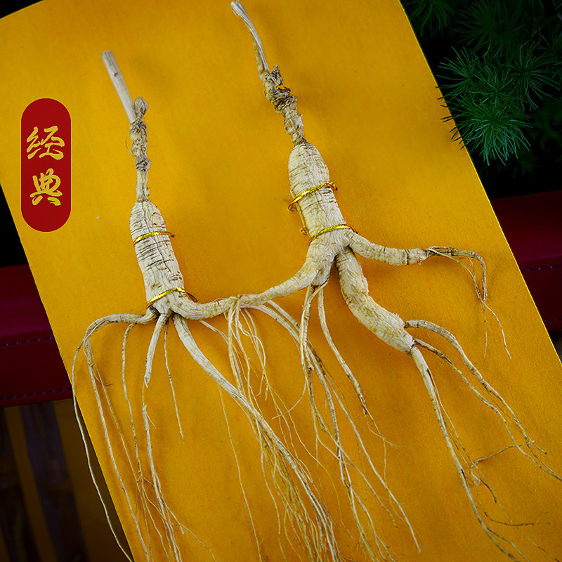  长白山人参山参