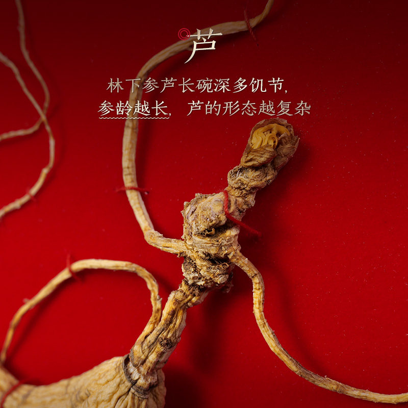  长白山人参山参