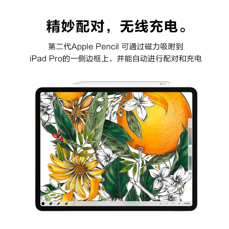 Apple/苹果 Apple Pencil一代二代平板电脑手写笔apple pencil2 - 图2