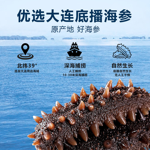 大连海参鲜蒸海参即食辽刺参深海刺参独立包装袋开袋即食1000g - 图2