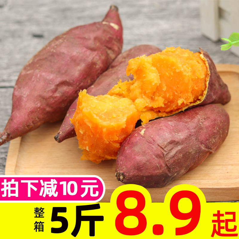 果语恋旗舰店现摘现发板栗红薯黄心红薯新鲜红薯农家红薯香甜蜜薯十斤装0