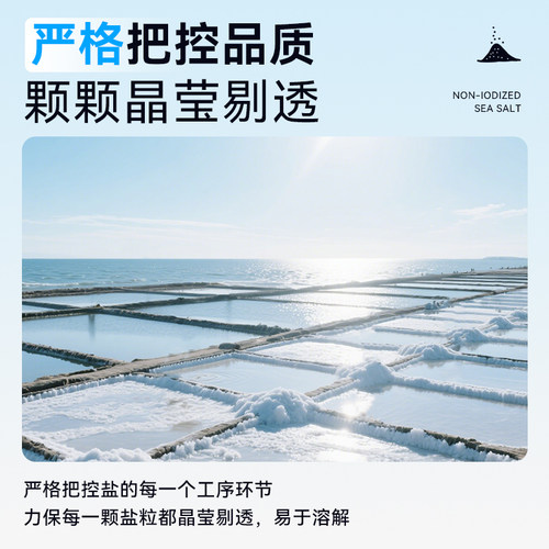 中盐莫顿 未加碘食用盐737g*2瓶装 未添加抗结剂家用调味牛排海盐 - 图2