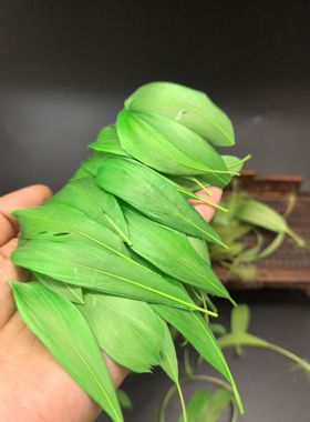 点翠DIY材料包上浆大飘鹅毛染色仿点翠团建活动手工艺体验课研学