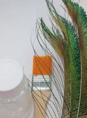 点翠工艺羽毛稀有品种仿点翠DIY饰品手工孔雀边翎饰品材料包耳饰