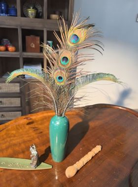 孔雀羽毛装饰花艺天然真羽毛DIY装饰插瓶摆件