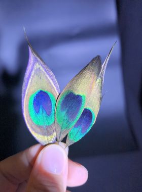 点翠DIY材料孔雀鹦鹉蓝片精选翠色上浆过羽稀有珠宝首饰花丝镶嵌
