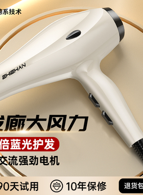 德国电吹风机家用负离子护发静音速干大功率发廊3000W大风力风筒