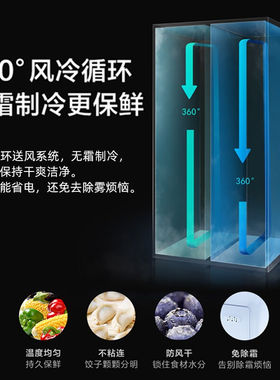 乐创（lecon）立式冷冻展示柜低温柜速冻柜食品冷冻柜海鲜肉类速