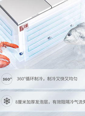 北格卧式冰箱冷柜大冰柜冷藏冷冻单温商用大容量小冰柜冷冻柜数显