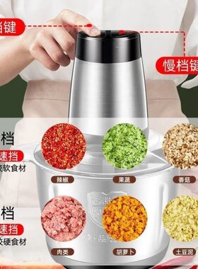 绞肉机电动家用结实多功