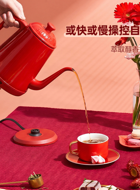 BRUNO电热水壶小型家用煮水烧水壶泡茶专用功夫茶长嘴咖啡手冲壶