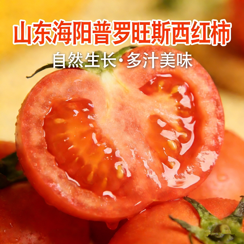 普罗旺斯西红柿新鲜自然熟海阳生吃沙瓤水果番茄全国仓发货