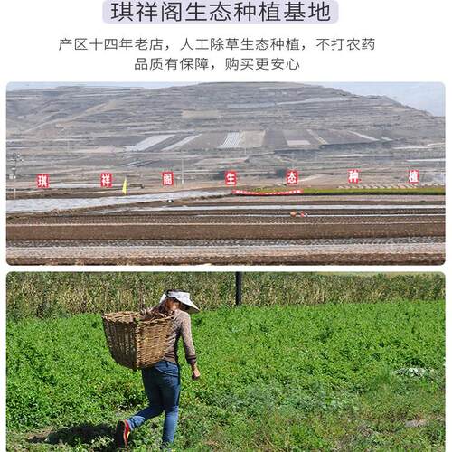 党参干货中药材正品批发非特级当参官方旗舰店配黄芪当归泡水煲汤 - 图3