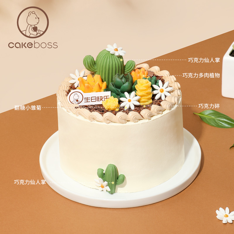 CAKEBOSS森之物语多肉乳酪芝士蛋糕创意生日聚会蛋糕北京同城配送 - 图2