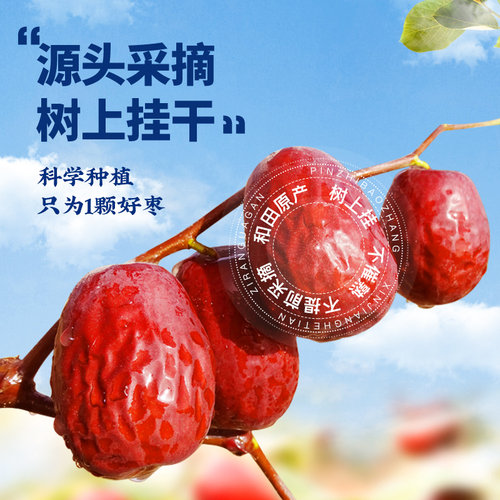 新疆红枣特级和田大枣零食特产一级特大红枣枣干礼盒官方旗舰店 - 图0