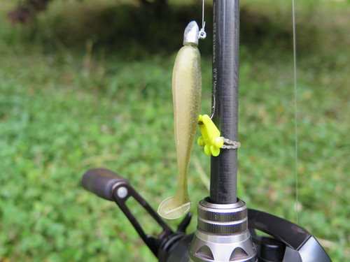 ZERG虫族T尾鱼Bait fish2寸~3寸路亚软饵软虫小T尾鱼鳜鱼鲈鱼翘 - 图2