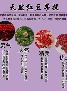 天然相思豆打孔红豆菩提子海红豆手串手链散珠手工编织配件材料包