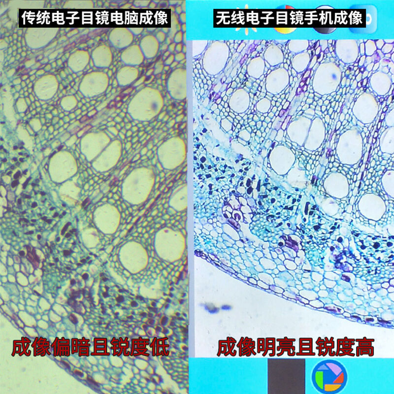 萨伽（SAGA）无线电子目镜生物体视显微镜可用连接手机IPAD可接天