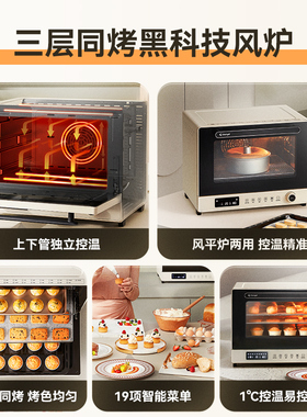 长帝大白鲸Pro风炉烤箱家用同烤