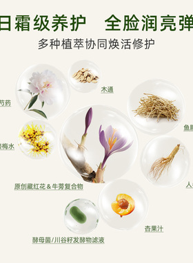 THREE平衡防晒霜30g防紫外线SPF40+清爽易成膜持久不脱植物养肤