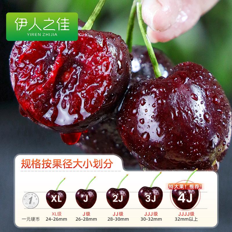 智利车厘子5斤新鲜水果当季整箱包邮孕妇进口樱桃jjjj大果礼盒装