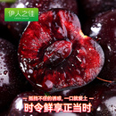 32.7！当季新鲜水果车厘子