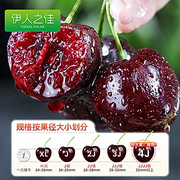 32.7！当季新鲜水果车厘子[30元优惠券]-寻折猪