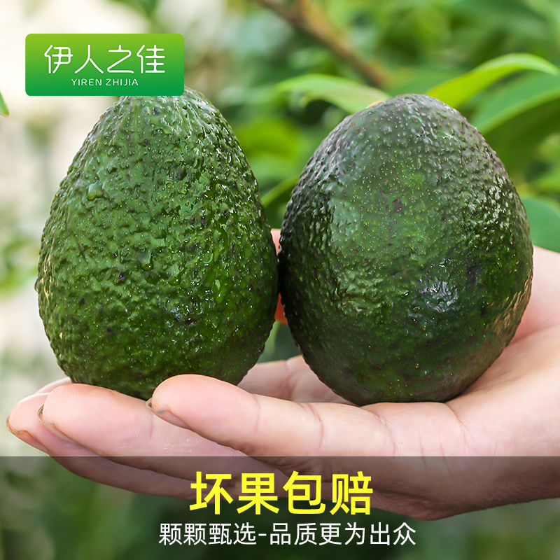 牛油果15个新鲜水果当季时令整箱包邮巨无霸一级鳄梨即食宝宝辅食