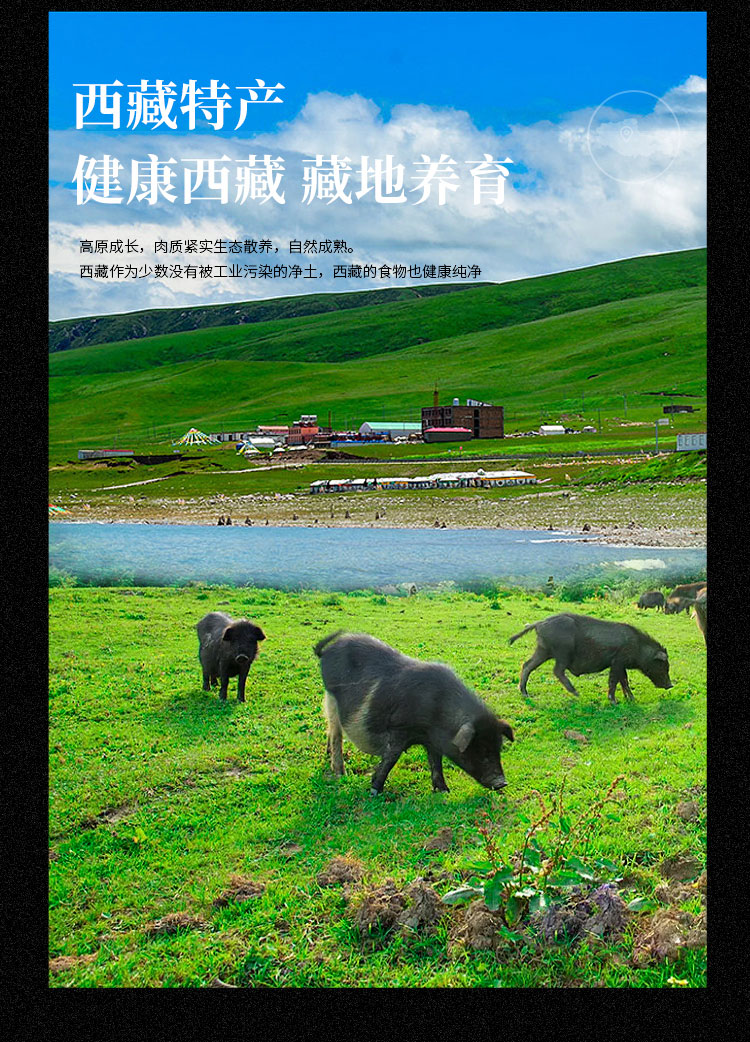西藏正宗手撕风干肉藏乡猪肉干非耗牦牛肉干四川青海特产高原黑猪 - 图0