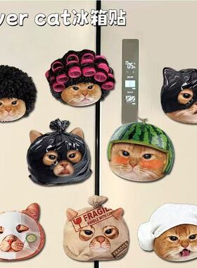 COVERCAT咪瑞联名磁吸冰箱贴自制猫咪冰箱贴装饰家电饰品居家礼物