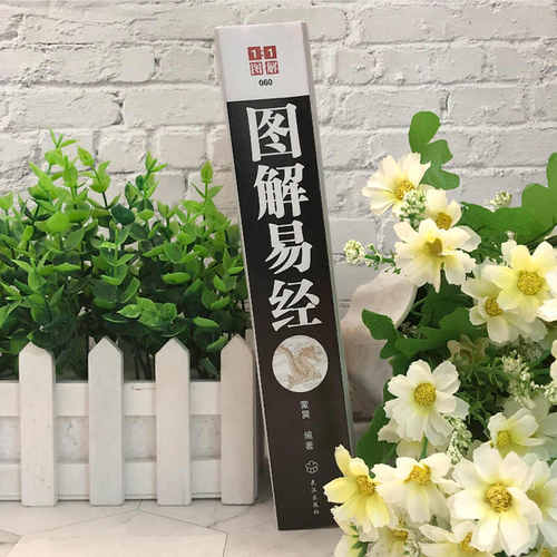 正版包邮 图解易经 周易全书国学经典四书五经  古籍哲学畅销书籍 易经入门风水64卦梅花易数书籍 周易大全朱熹解易道德经中国文化 - 图2