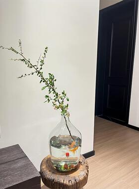 花瓶鱼缸一体大肚玻璃摆件客厅水养插花懒人鱼缸小型桌面玄关装饰