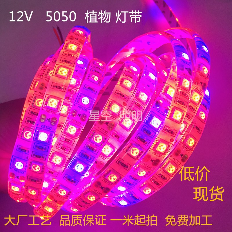 12V植物补光LED灯条12V5050植物生长LED灯带鱼缸蔬菜肉类花卉灯条 - 图0