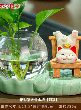 卡通可爱招财猫水培花瓶