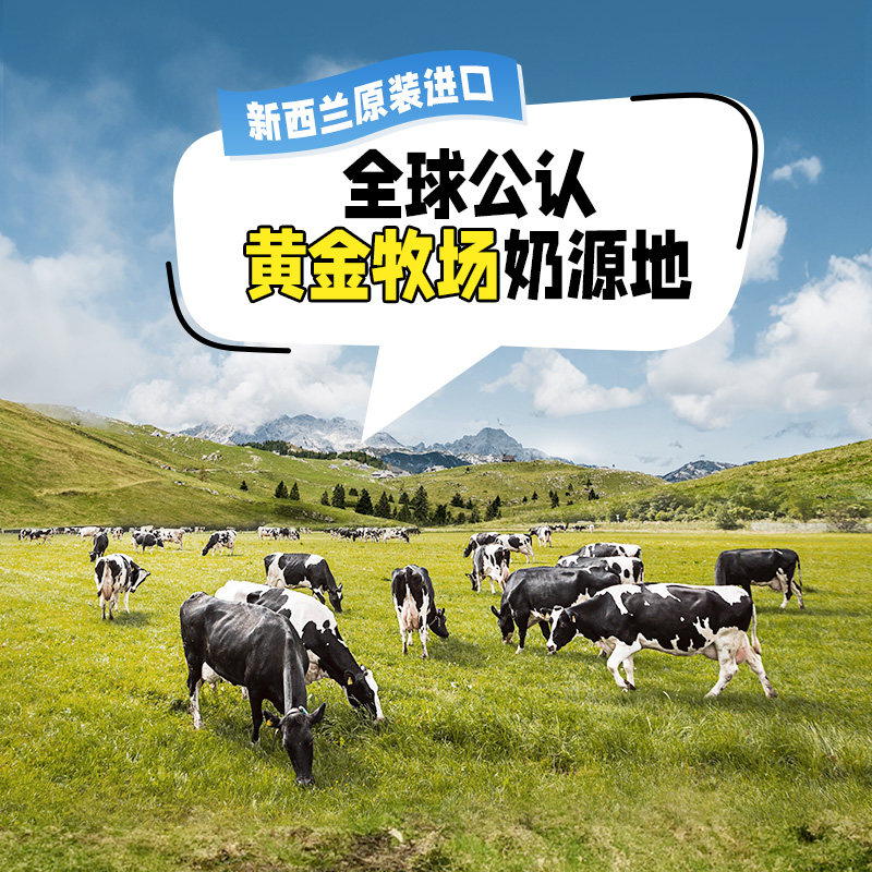 【新西兰24年金奖】玛琪摩尔原装进口冰淇淋大桶香草雪糕原味儿童