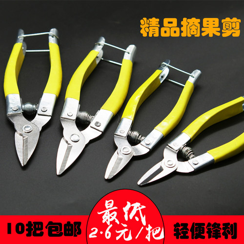 修枝剪修花剪刀枝剪采果园艺家用柑橘桔子刀剪葡萄专用圆头小嘴 - 图0