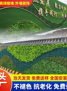 防褪色仿真植物墙门头店装饰