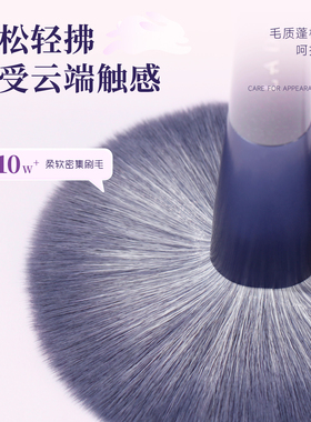 蓝蒂丝10支紫兔化妆套刷